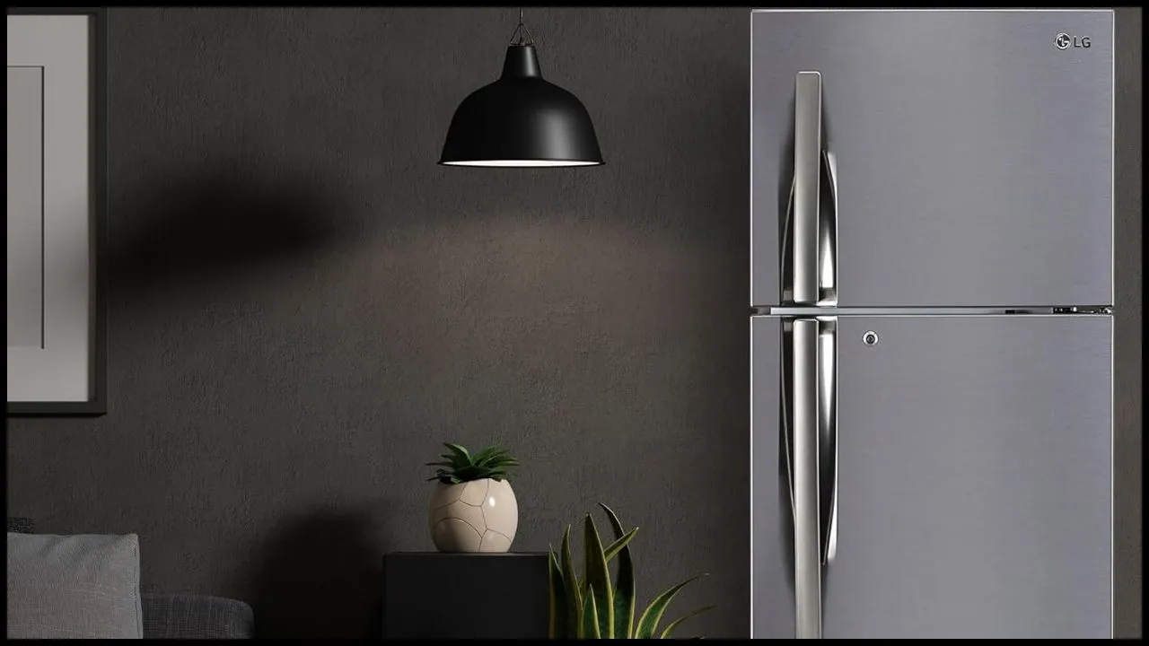 LG Double Door Refrigerator