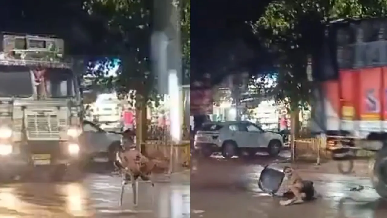 viral video 