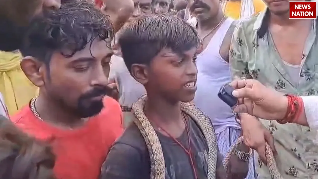 snake Viral video