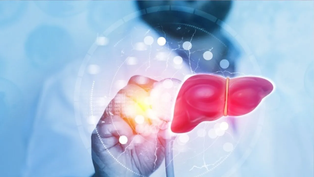 Fatty Liver 4