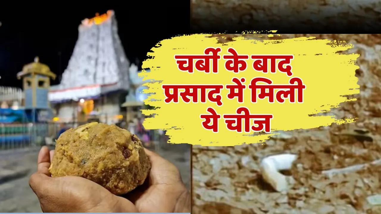 Tirupati Temble Prasad Controversy