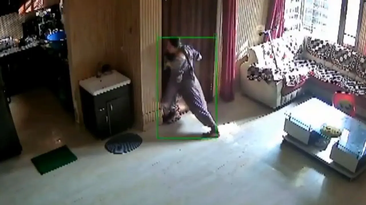 _viral video news