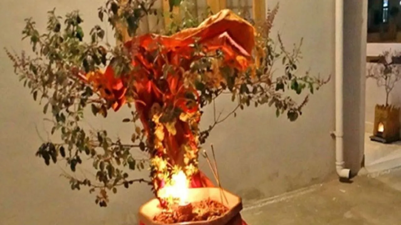 New Year 2025 Astrology For Tulsi Puja