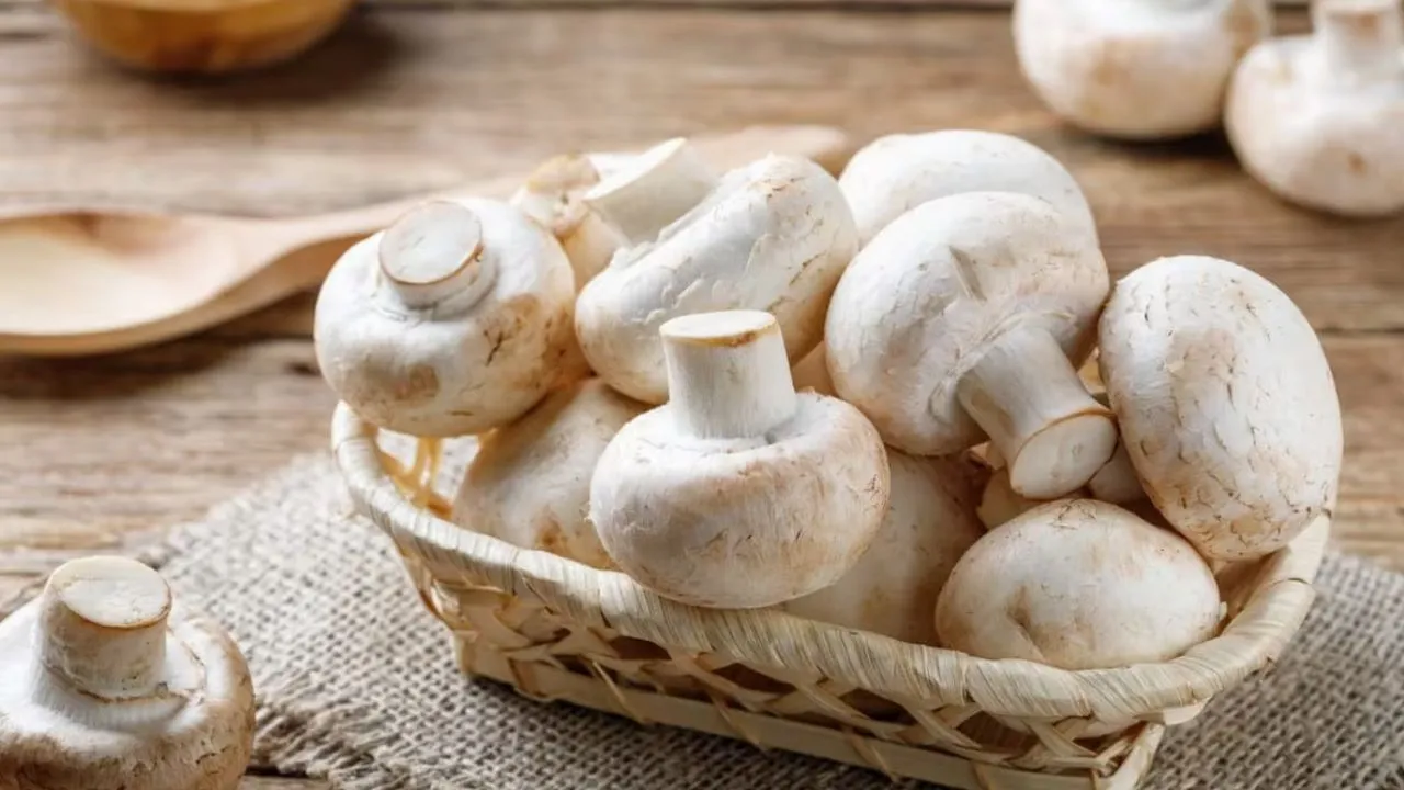 mashroom