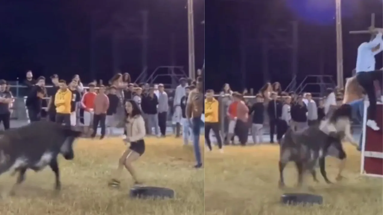 viral video
