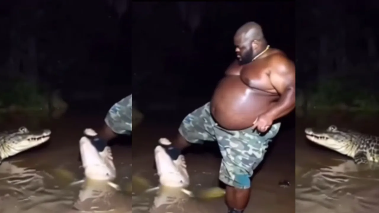 viral attack video