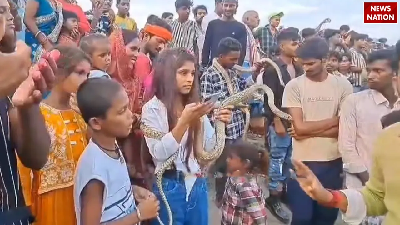 snake Viral video