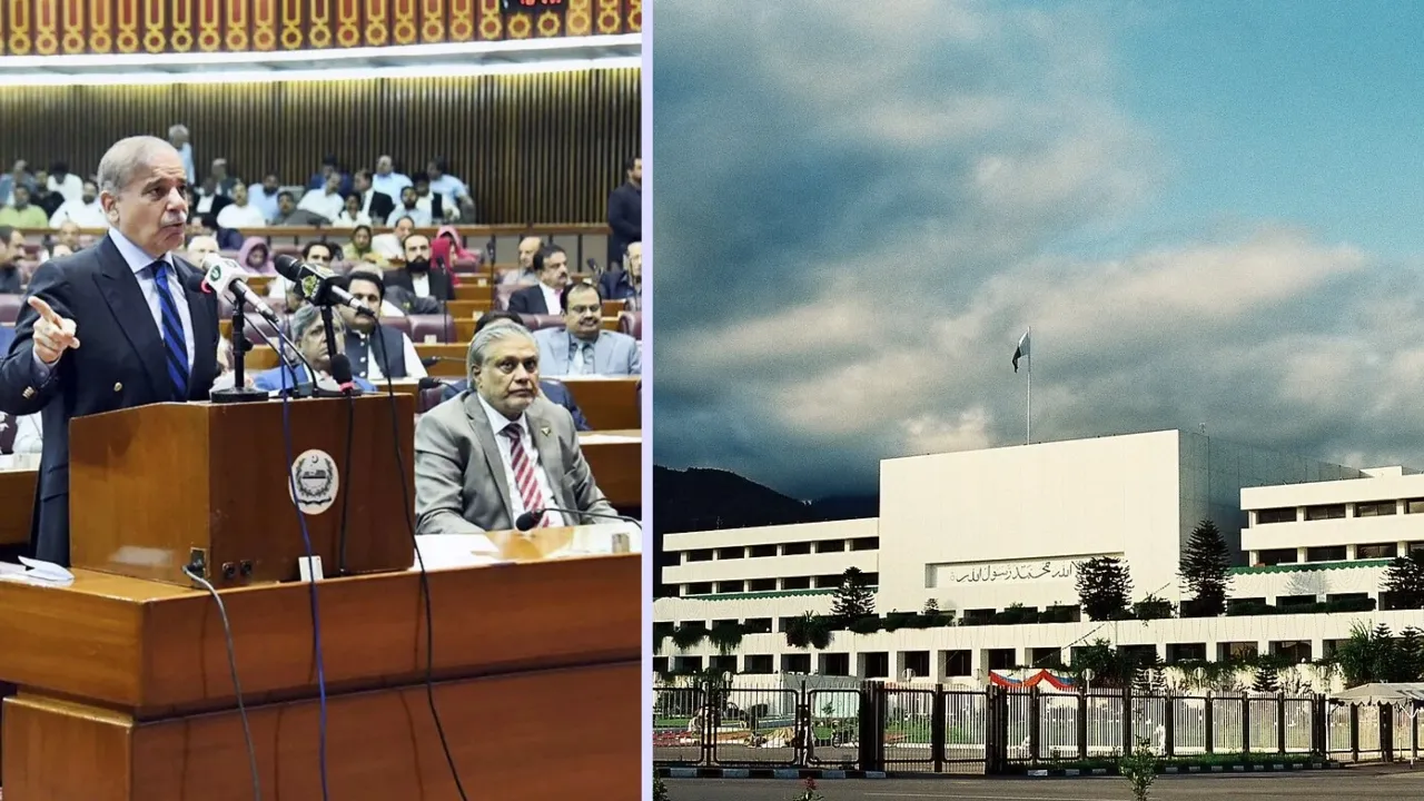 Pakistan Parliament Rat Problem