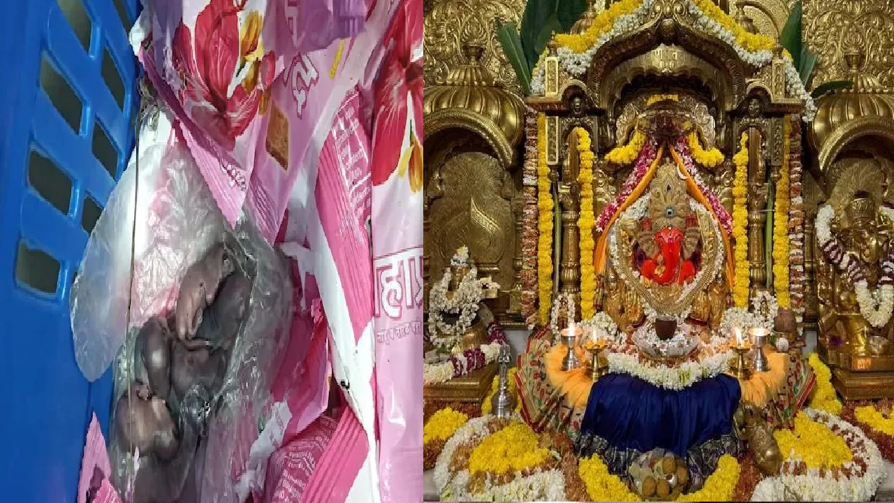 siddhivinayak