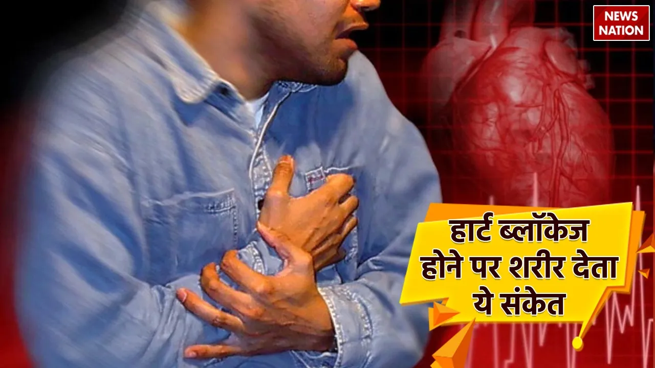 WhatsApp Image 2024-10-14 at 4.41.58 PM