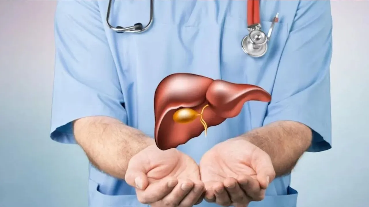 Fatty Liver 3