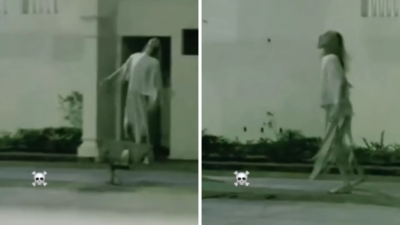 viral video chudail