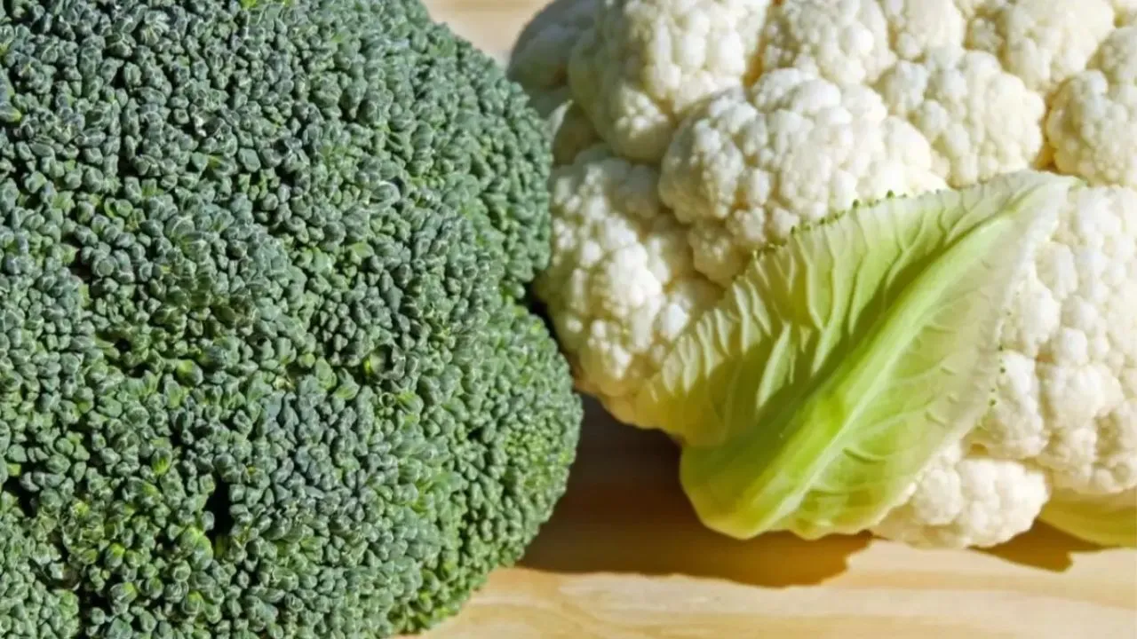 vegetables