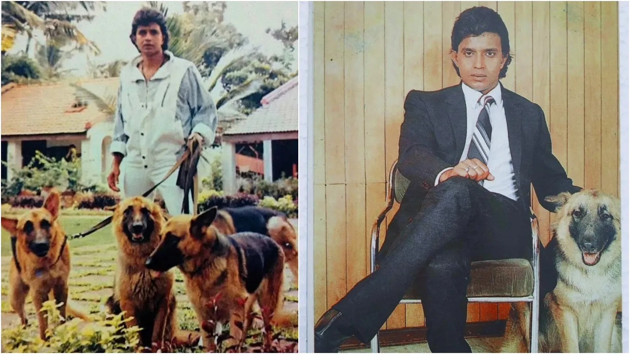 mithun chakrabortys hotel (1)