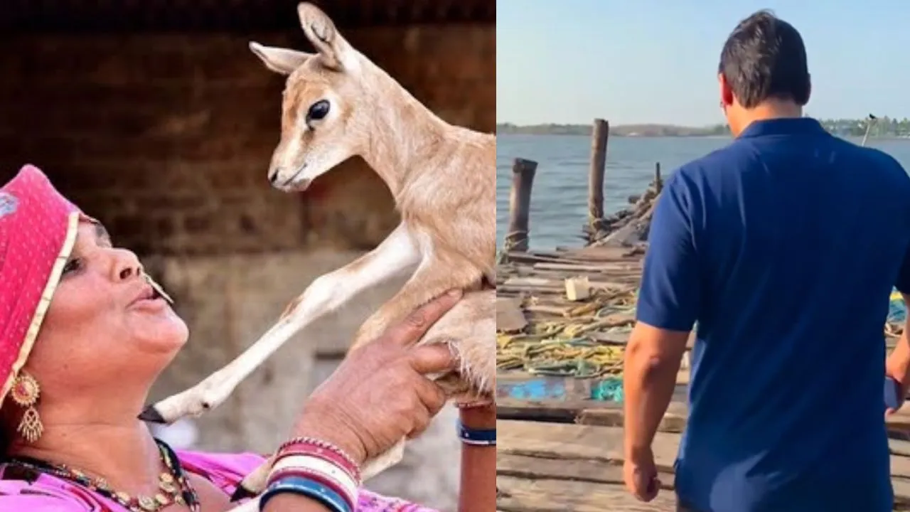 vivek