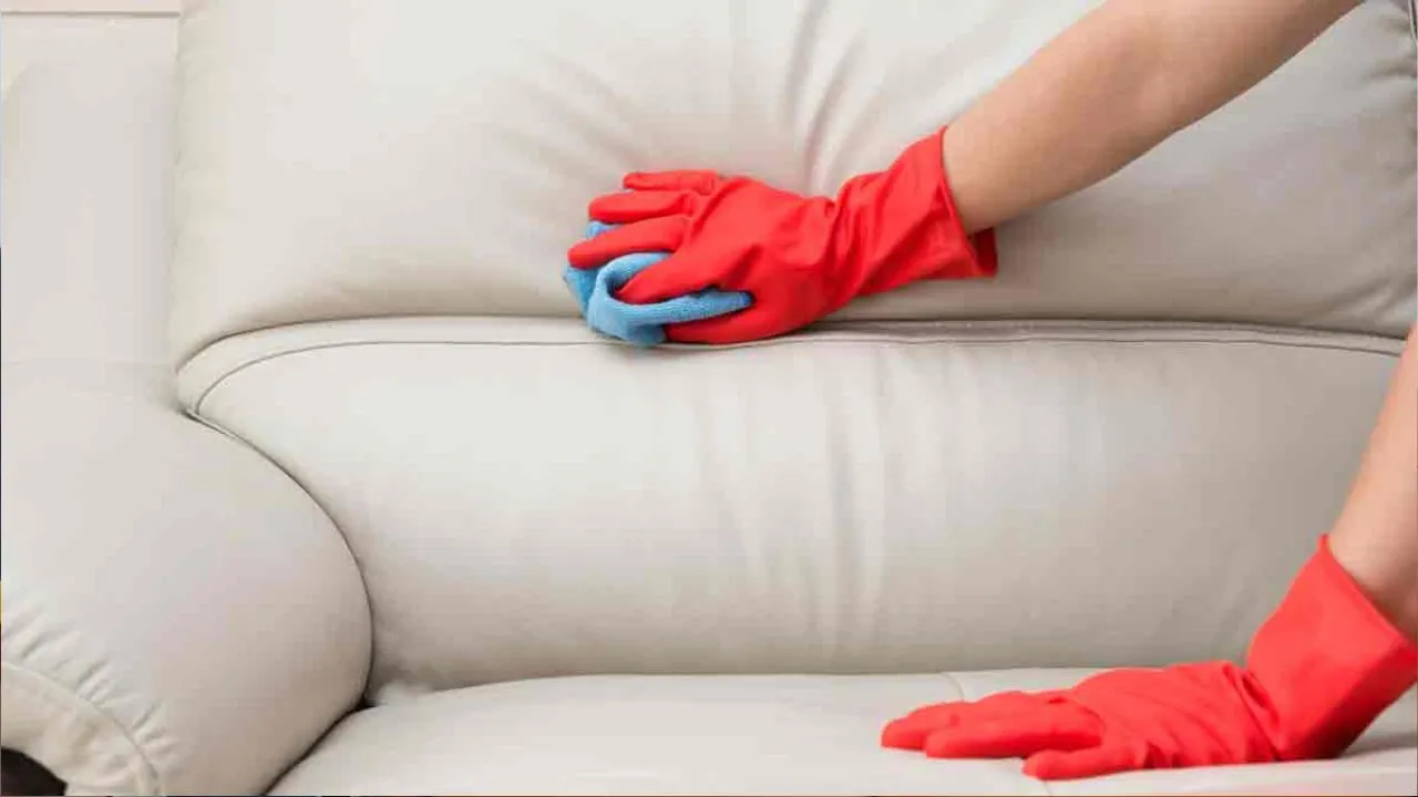 leather sofa 3