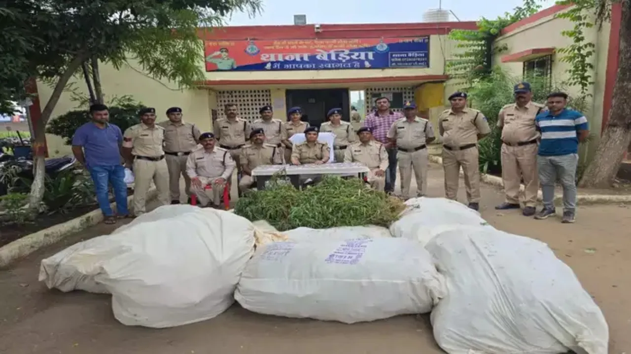 Khargone ganja seized