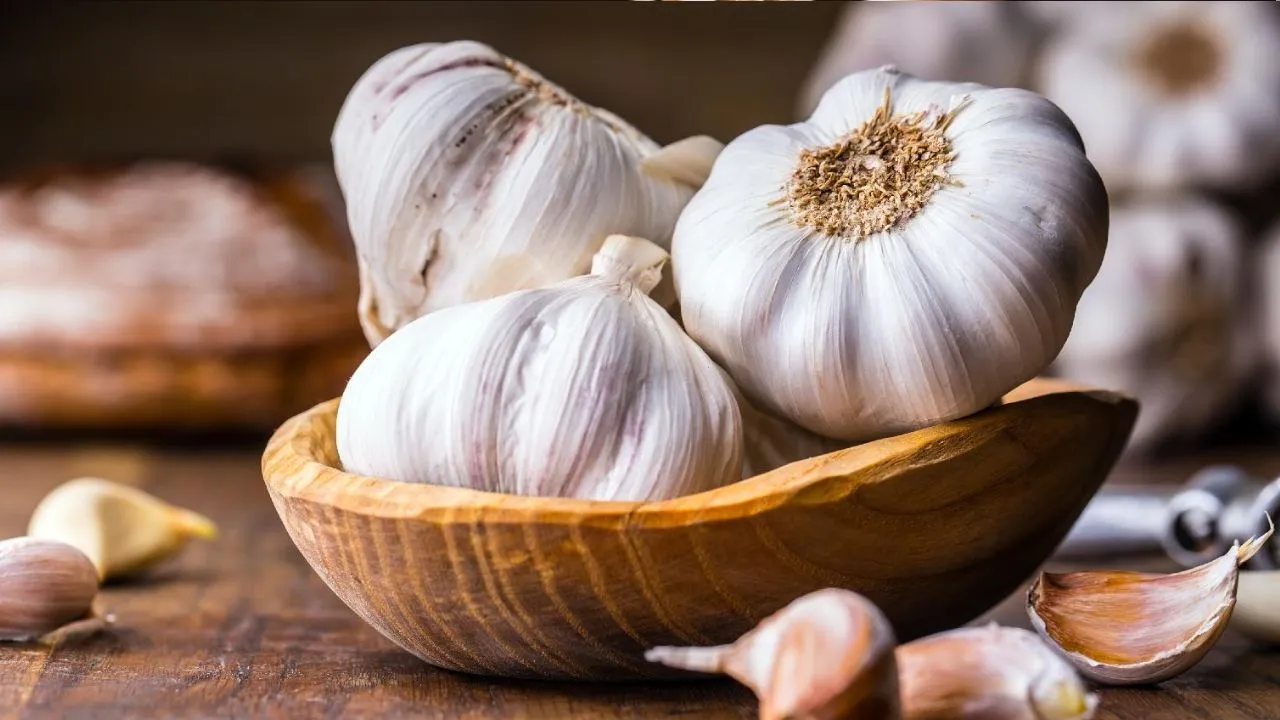 garlic