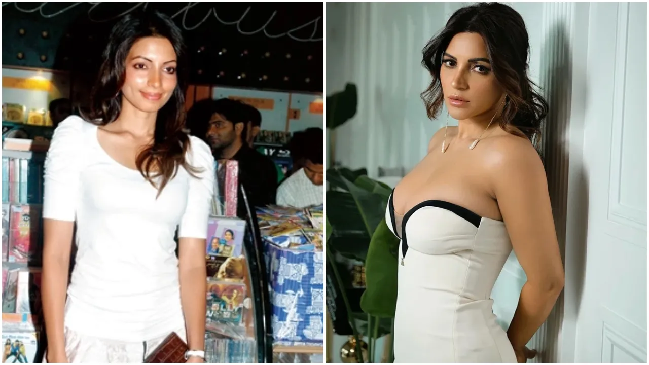 Actress Breast Surgery (5)
