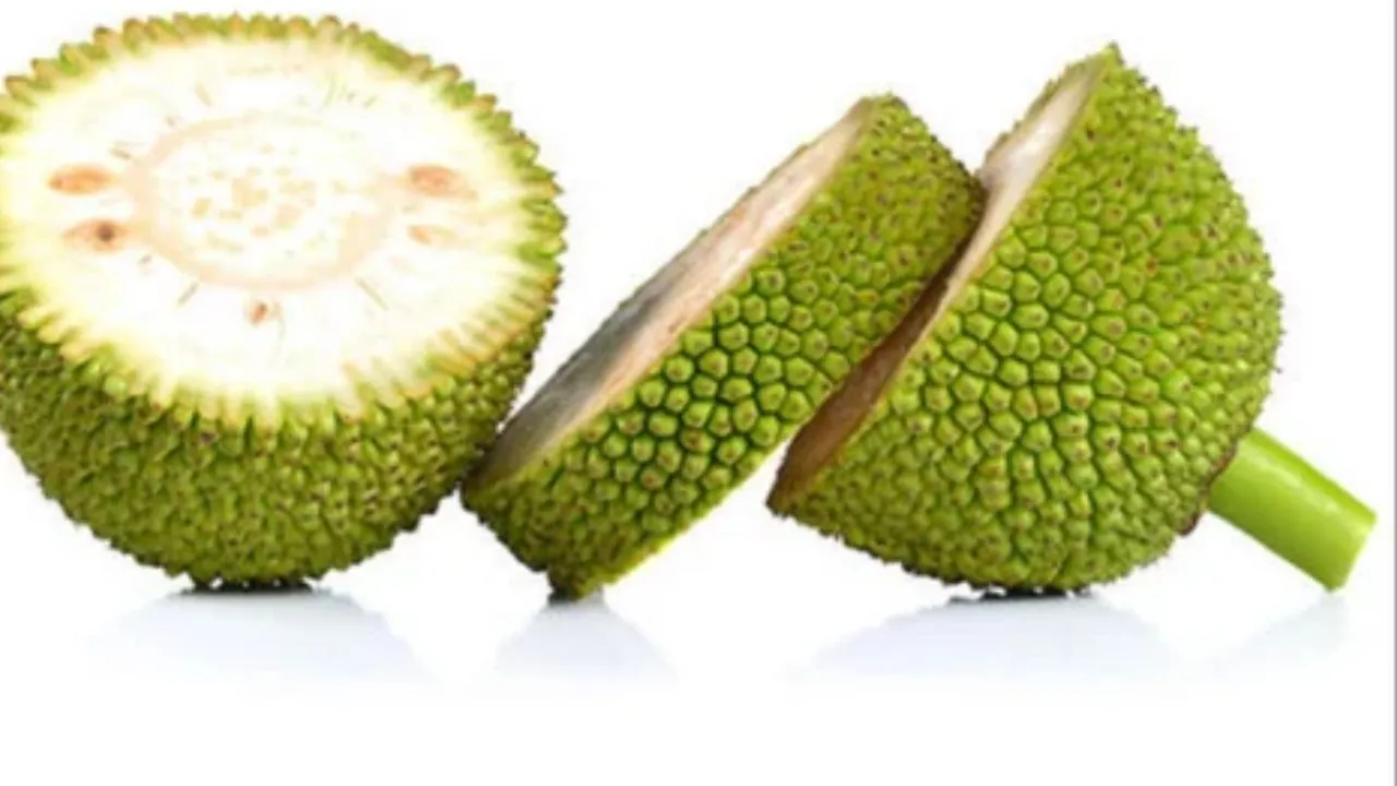 jack fruit (1)