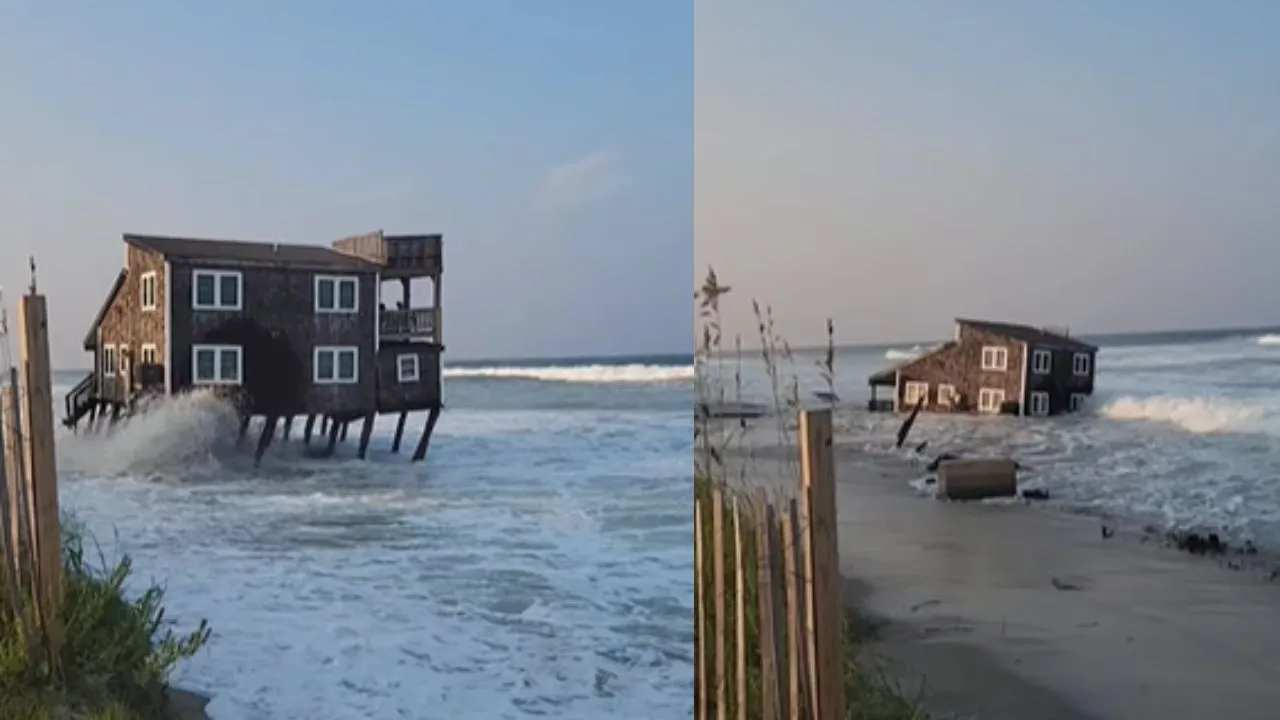 viral sink home video