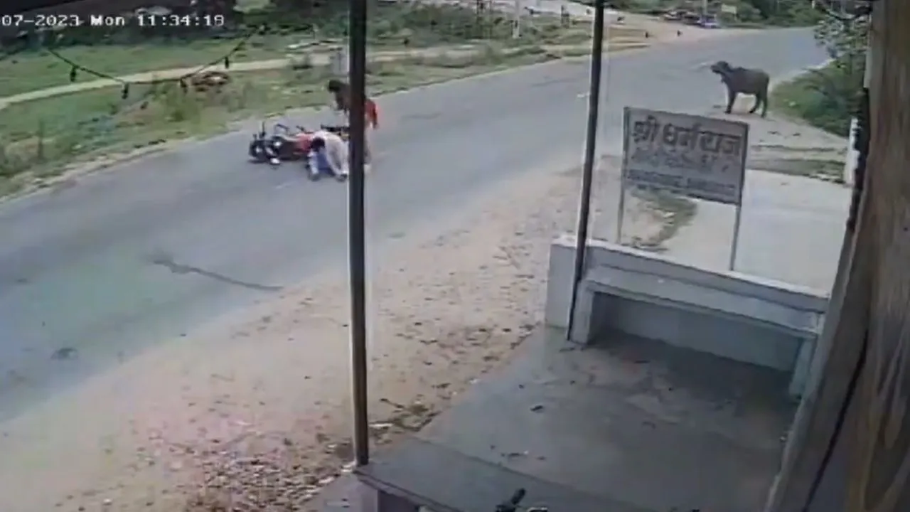 viral video 