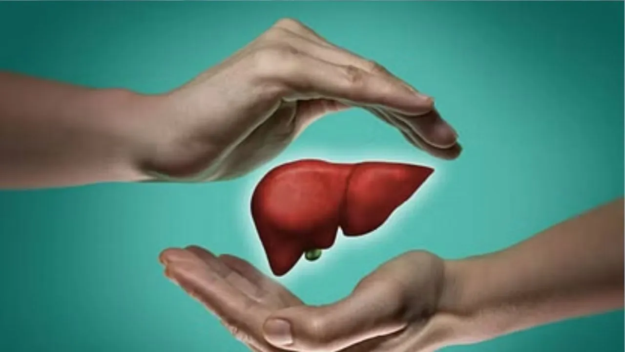 Fatty Liver 5