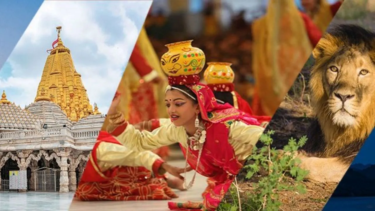 Gujarat tour