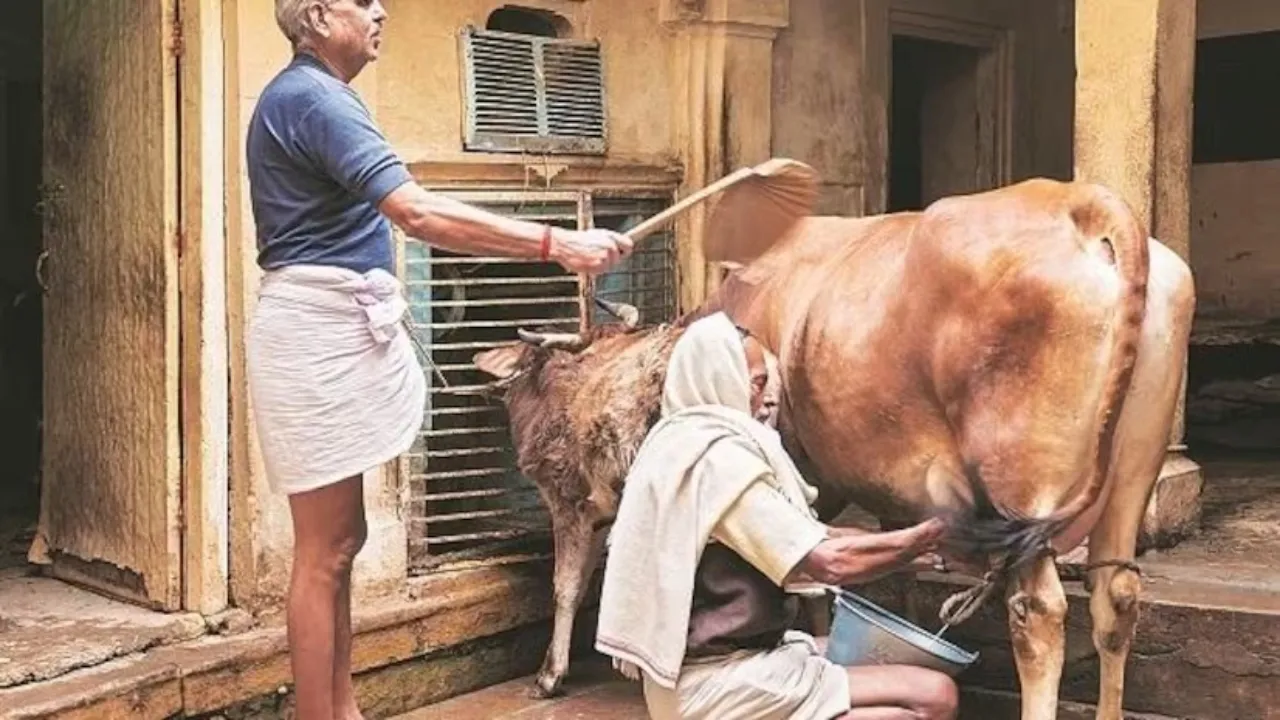 World Animal Welfare Day