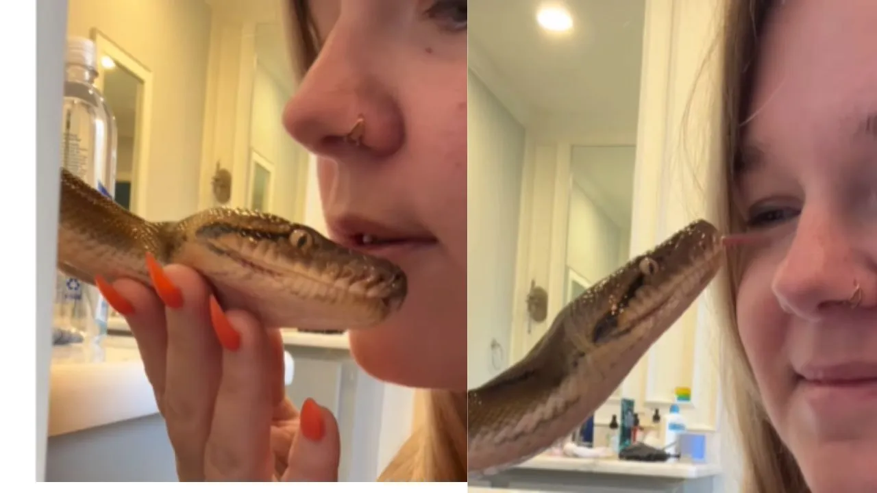 viral snake video