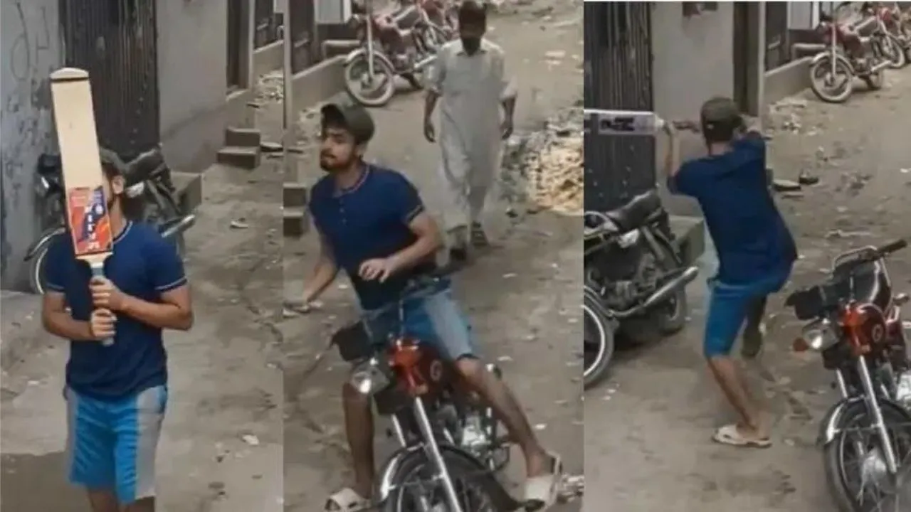 funny viral video today