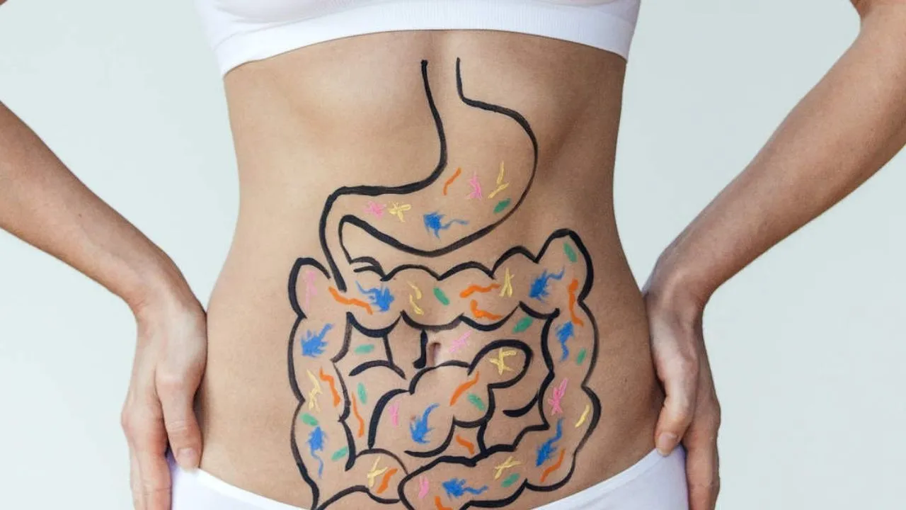 digestion