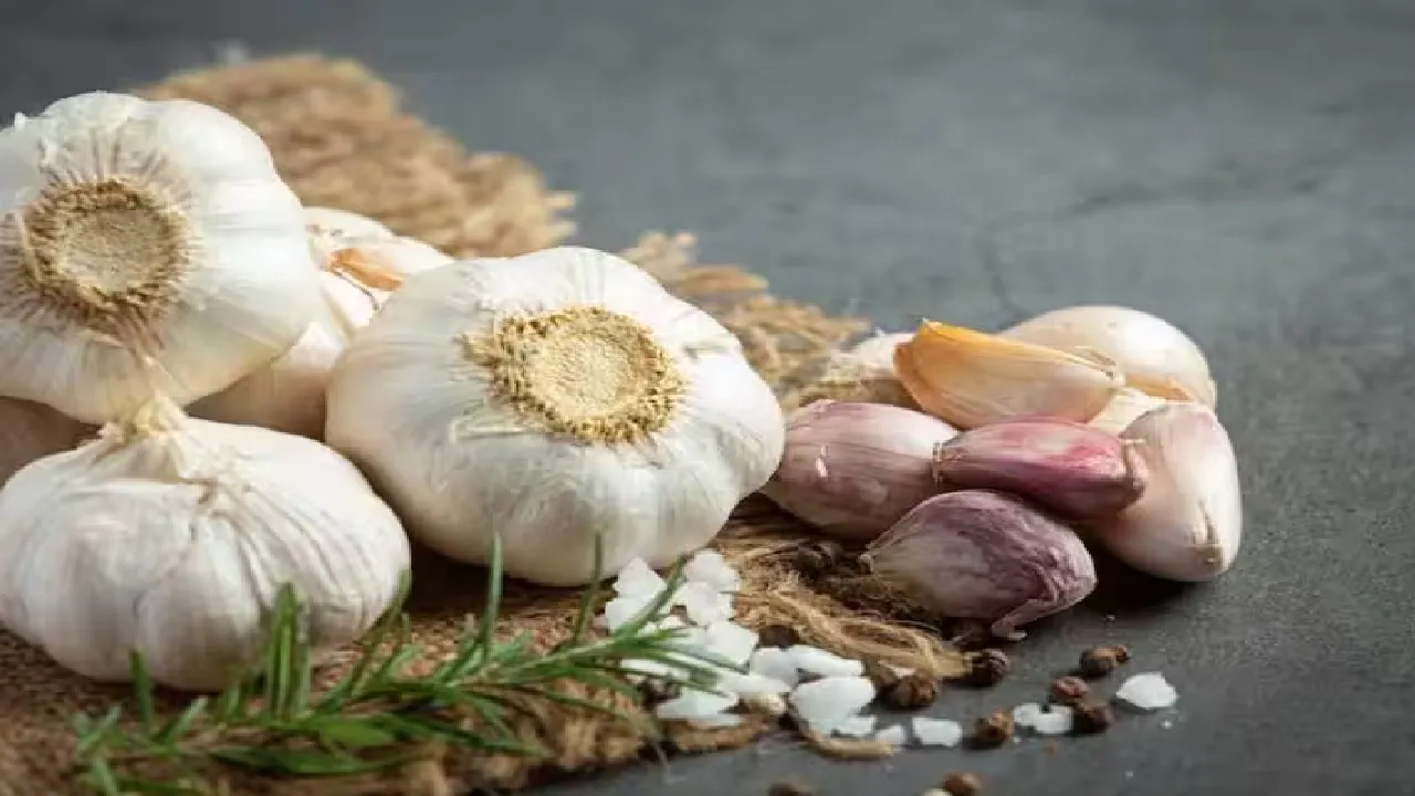 garlic
