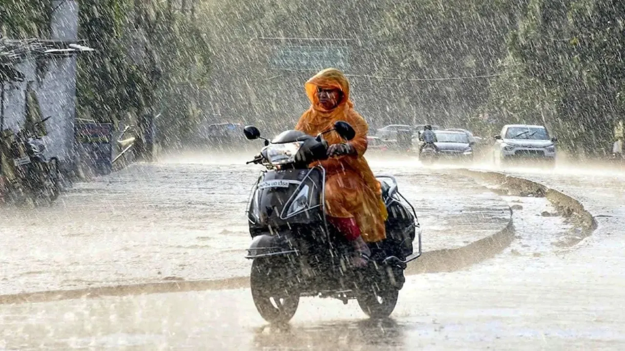 MP Weather News