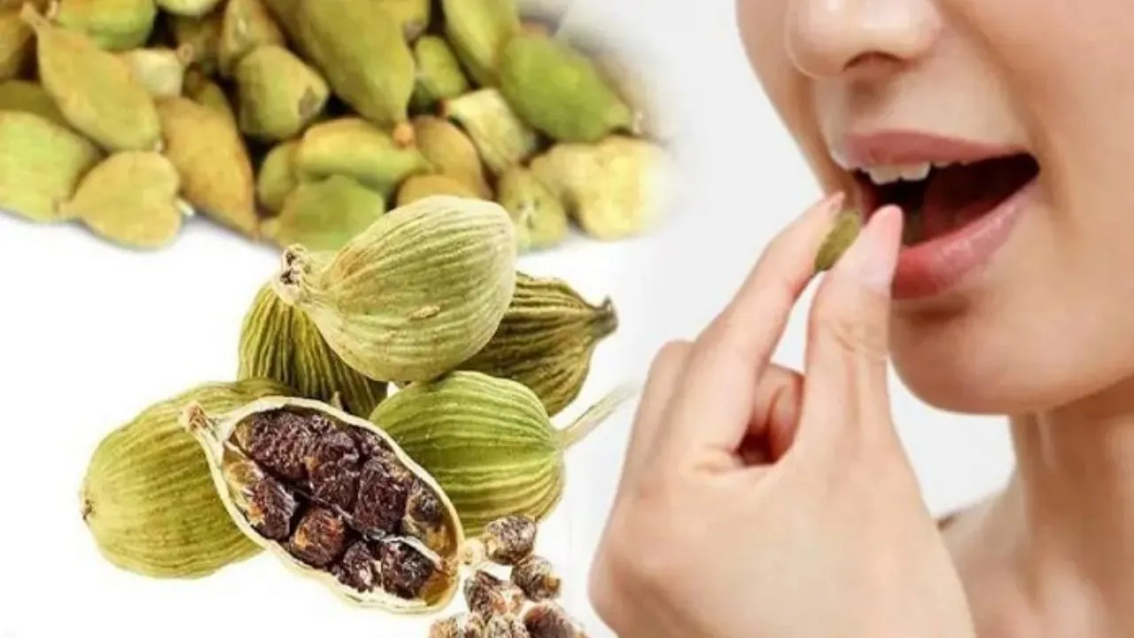 cardamom eating