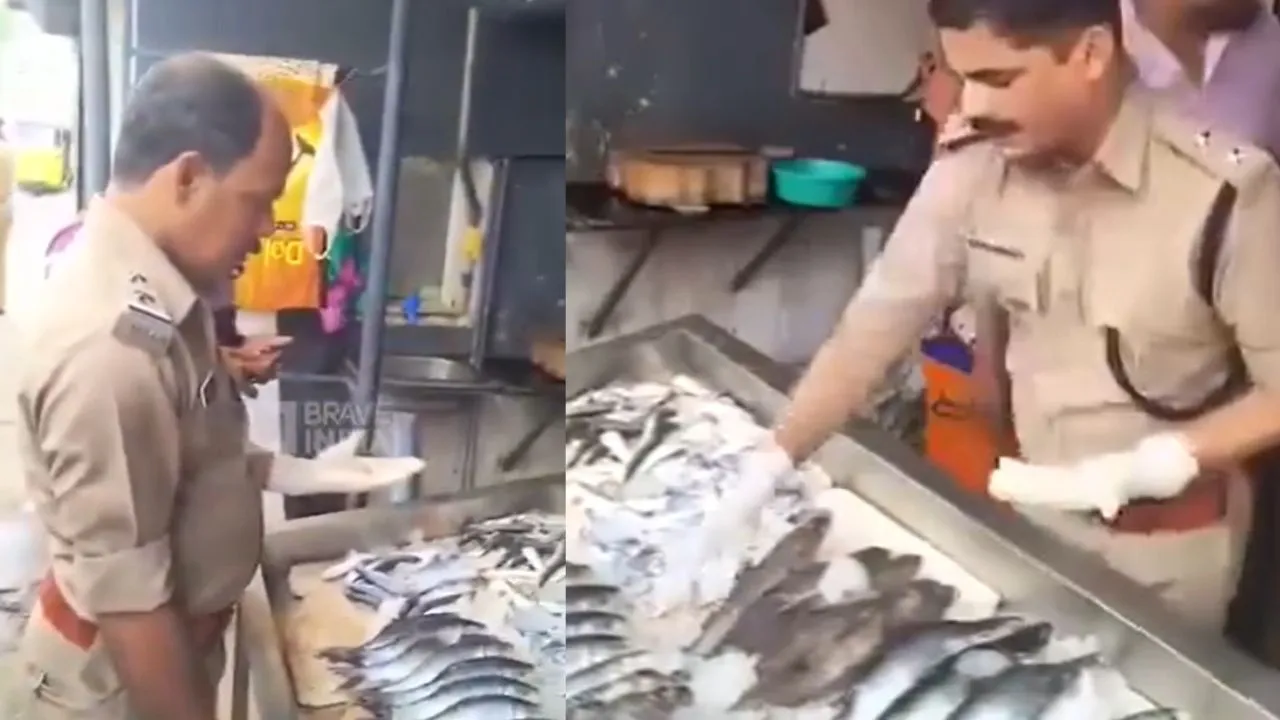 viral video 