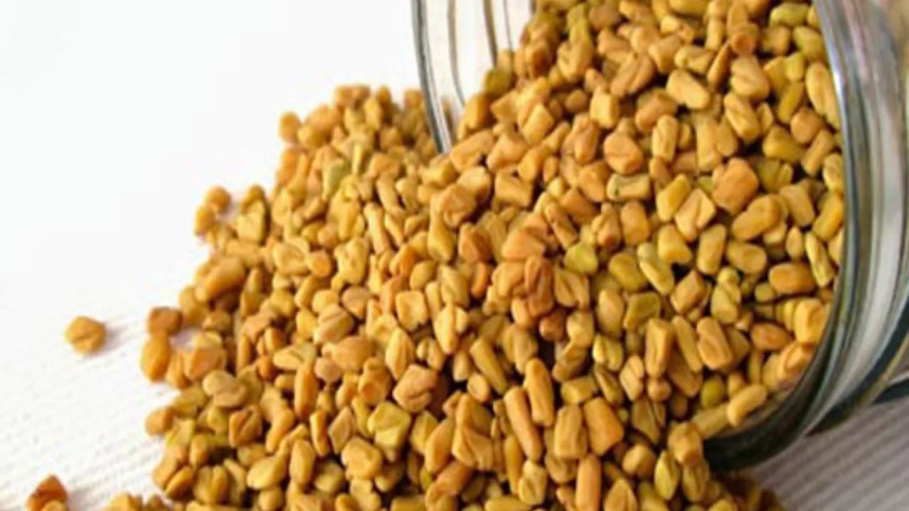 Fenugreek Seeds Benefits