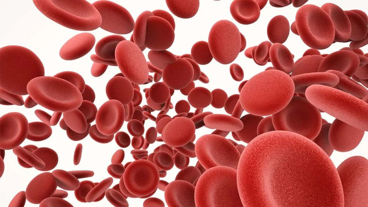 Hemoglobin Deficiency
