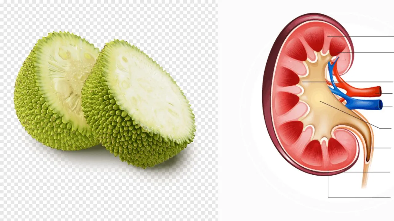 jack fruit (2)