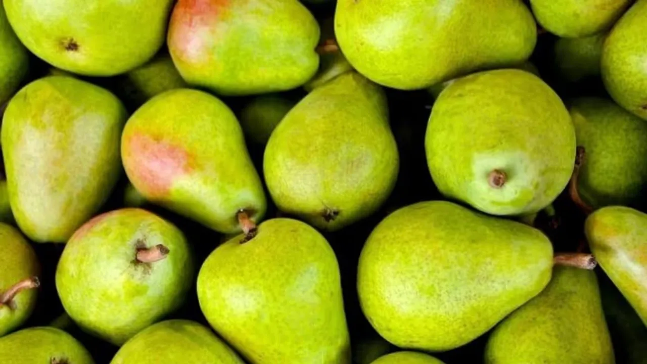 Pears