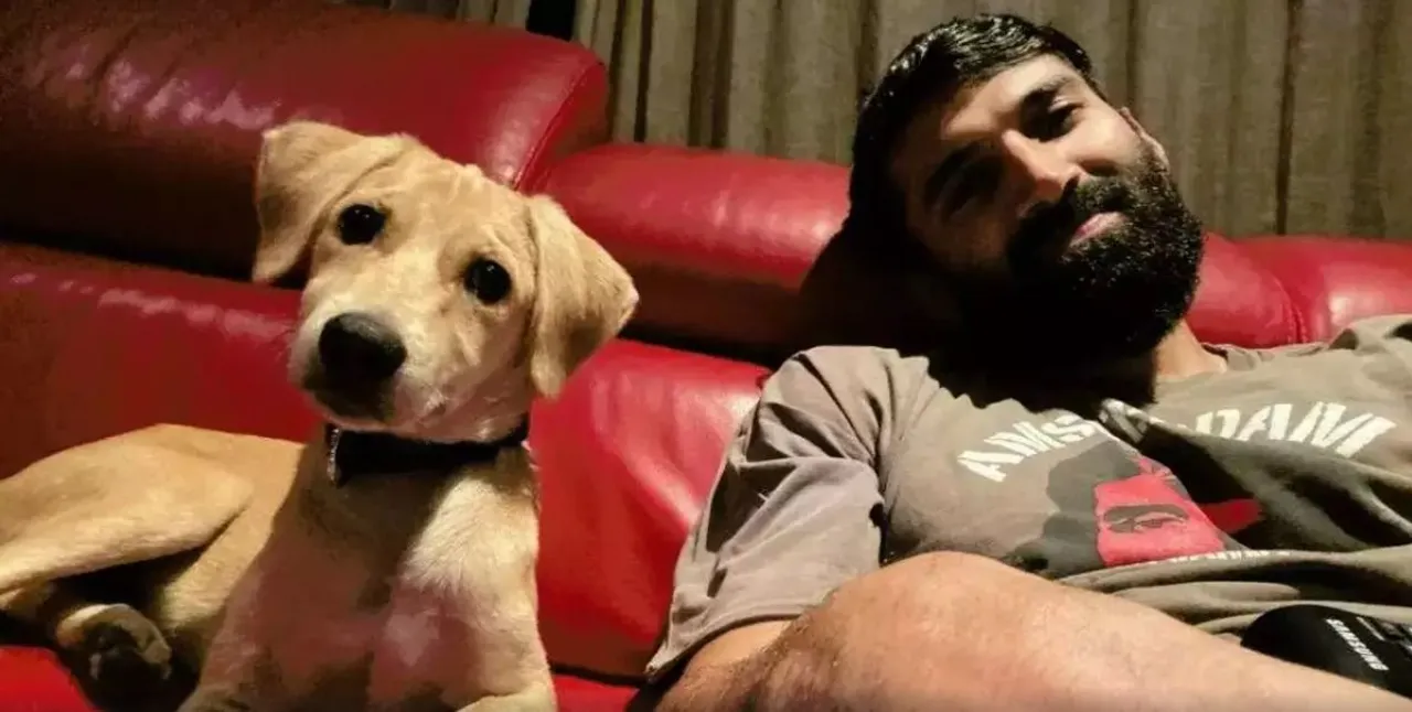 Dog Day 6