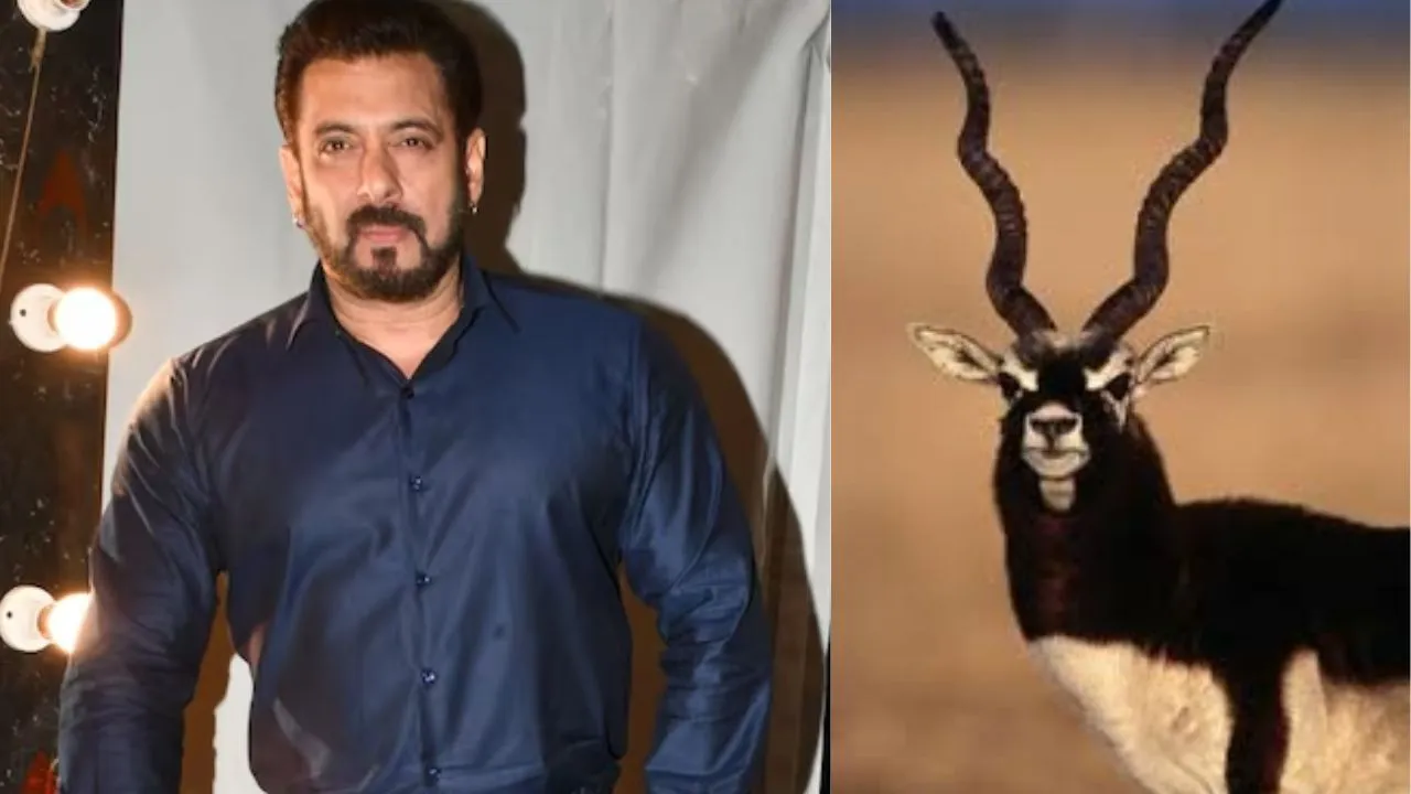 salman khan (11)