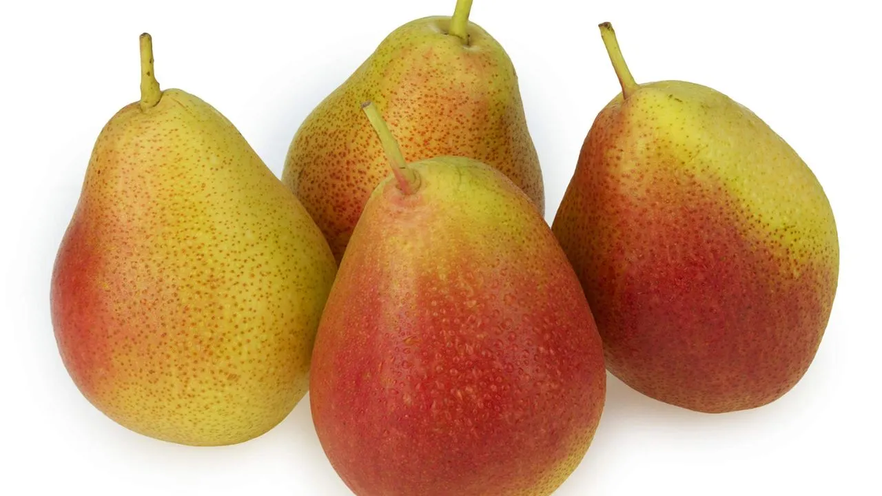 pear