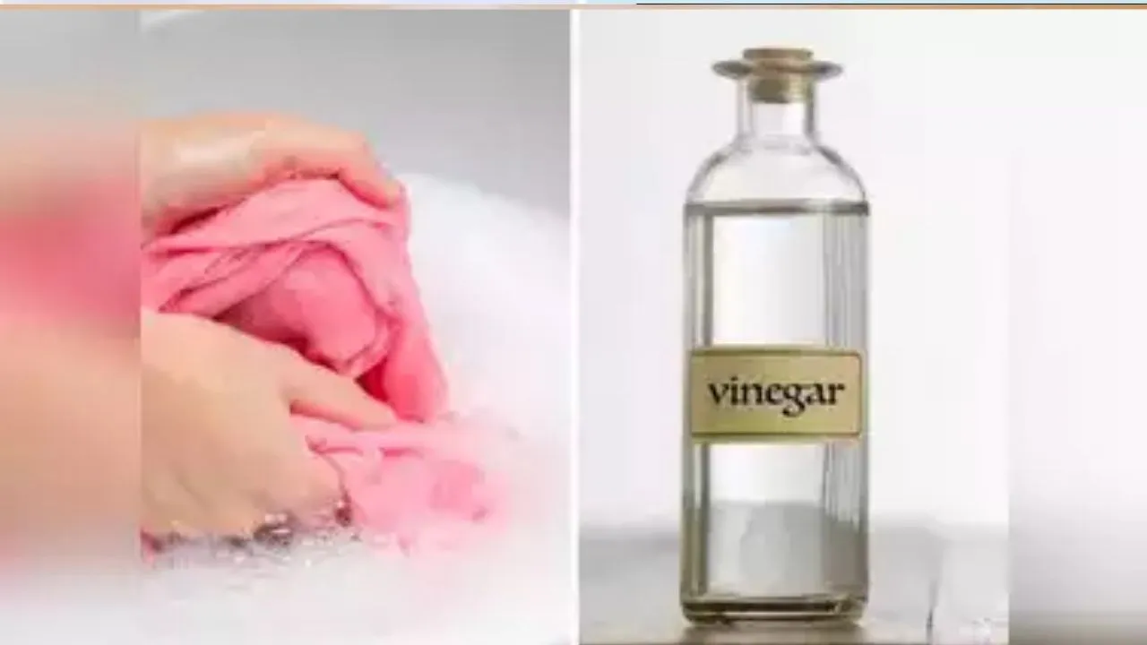 cleaning tips 3