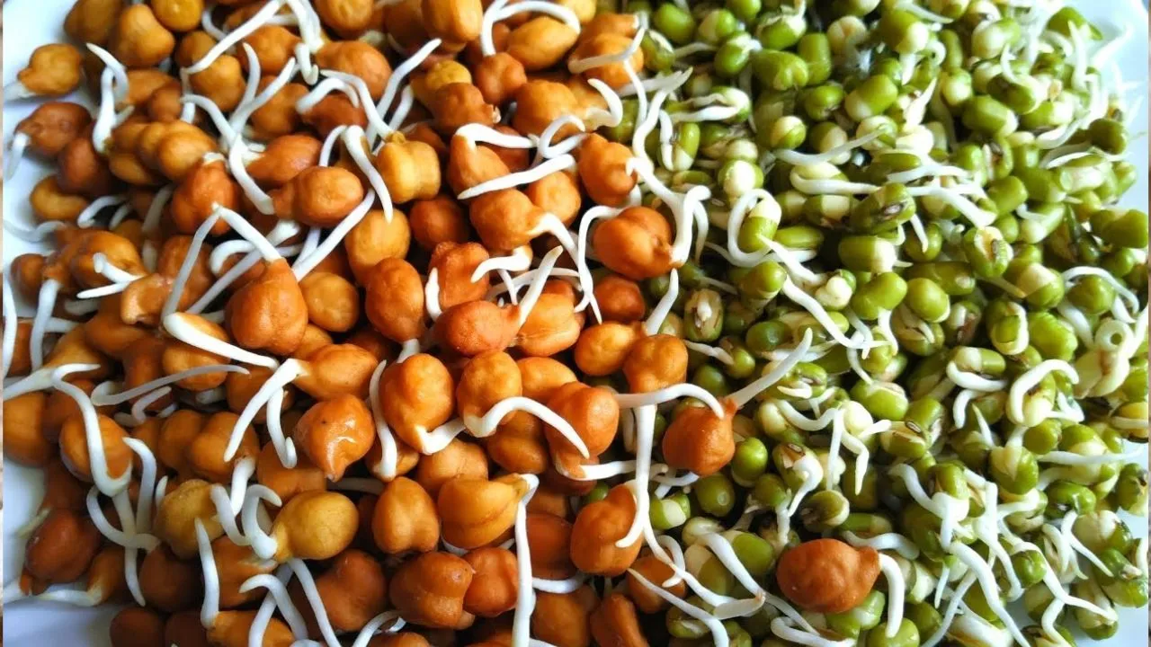 vegetables (10)