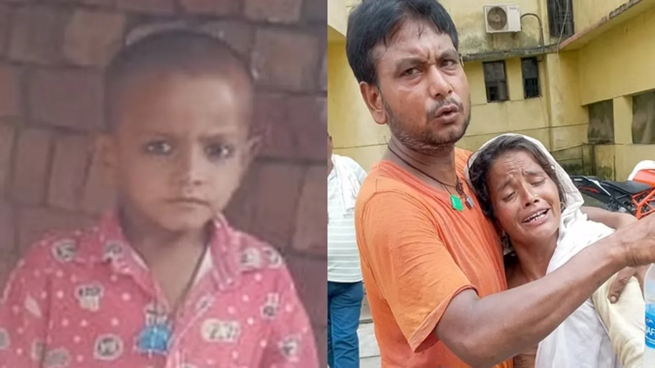 Sambhal dogs killed child