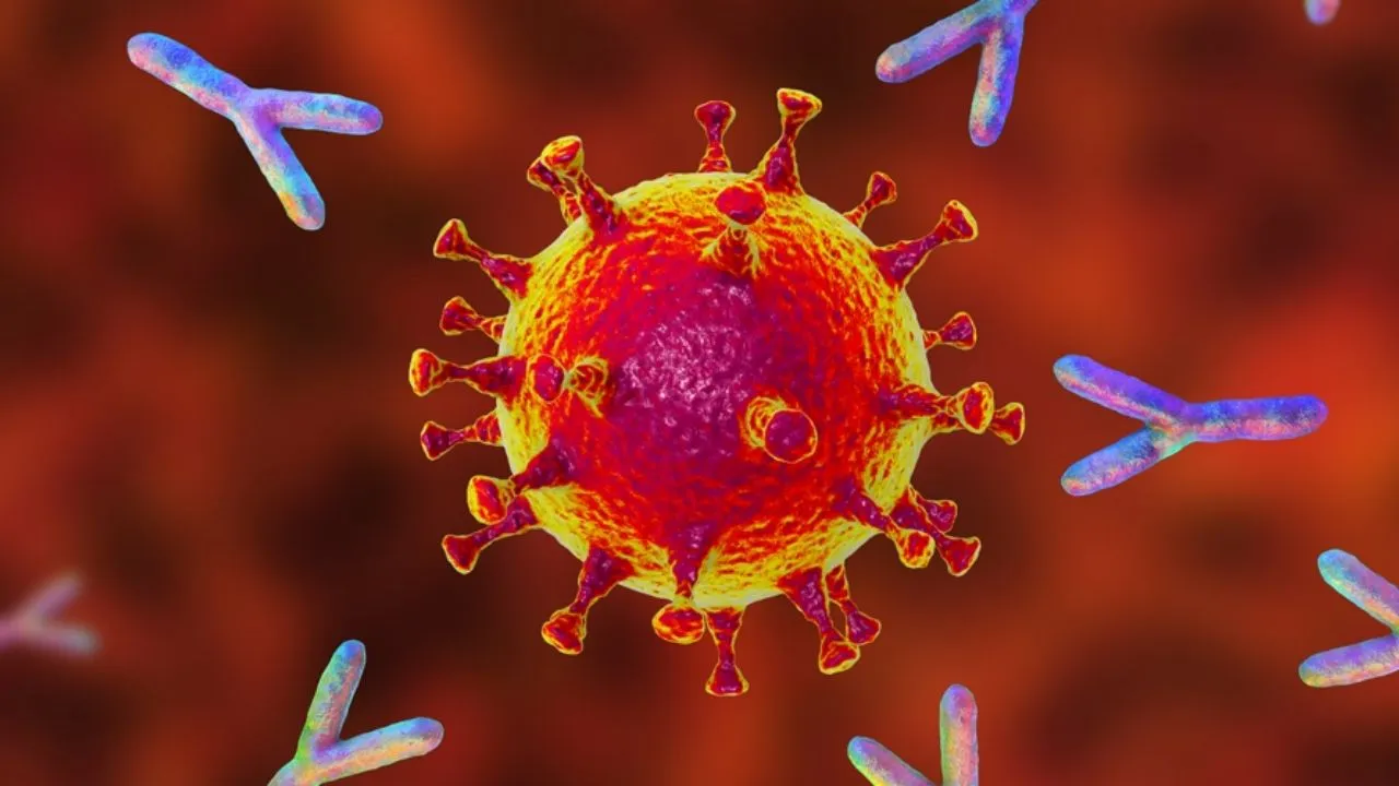 immunity
