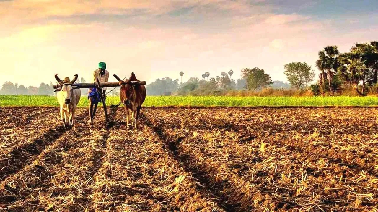 PM Kisan Yojana 