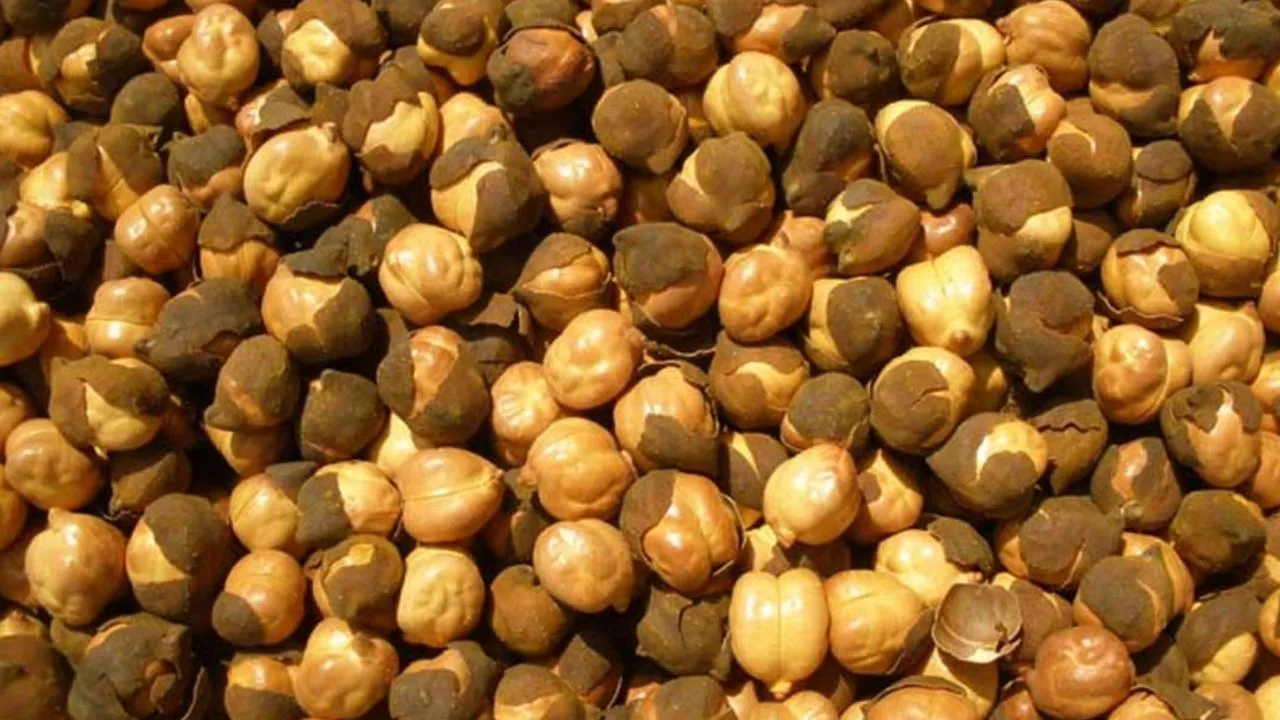 roasted chana chilka