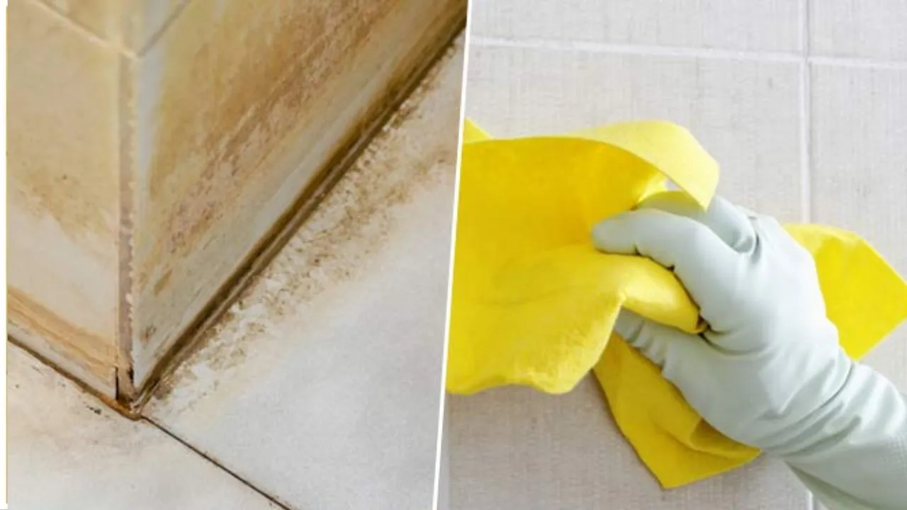 Dirty Bathroom Tiles 1